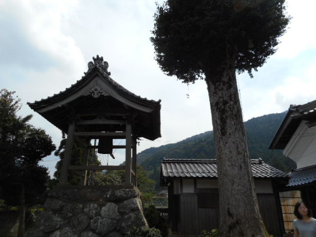 覚成寺<br /><br />大銀杏と鐘楼