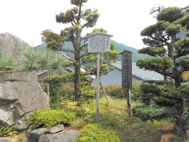 得法寺<br /><br />家康腰かけの松　ですが…今はありません<br /><br />信長が家康と秀吉を従え朝倉を討ちに行った際<br /><br />家康が泊まったのがここ得法寺と言われています。