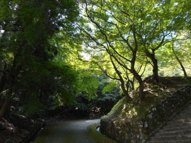 松木神社<br /><br />紅葉シーズンはきれいです。