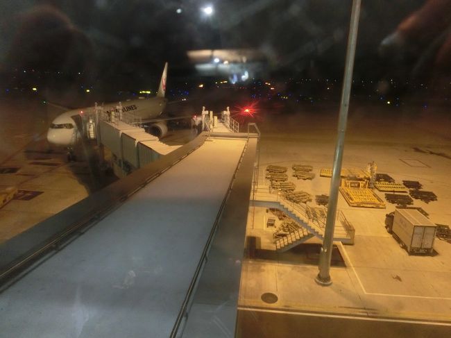 帰りも日本航空