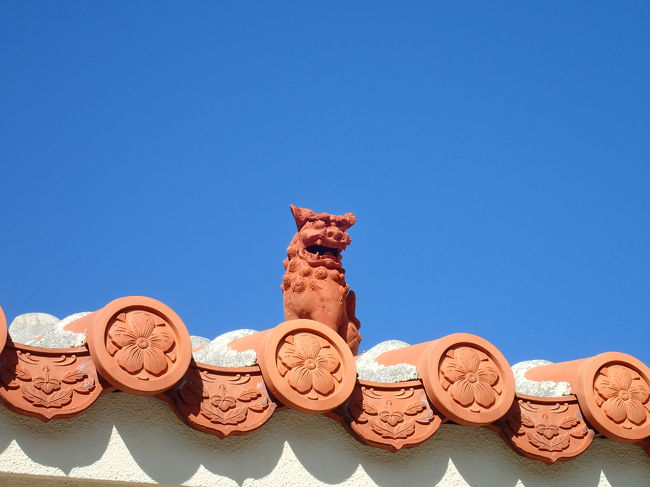 屋根の上にもいます