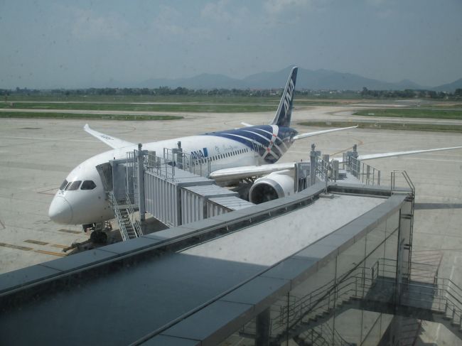 こちらの飛行機で帰ります。日本までよろしくです！。