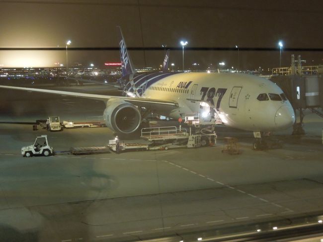 無事、羽田に到着！！！。ありがとう、ＡＮＡさん。お初の７８７も楽しめました。