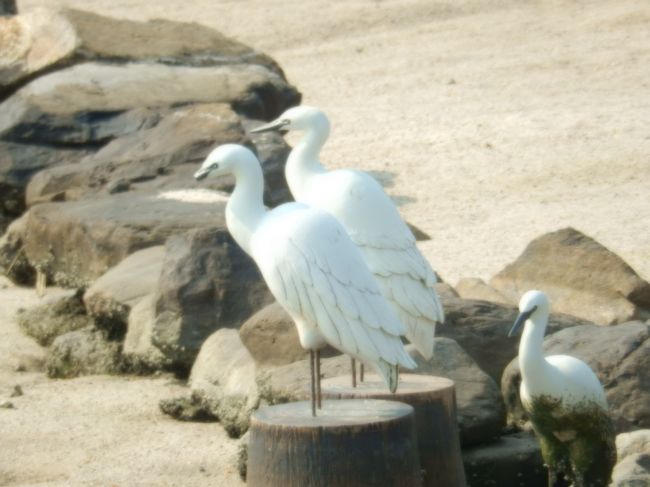 水景公園内に鳥の模型がありました