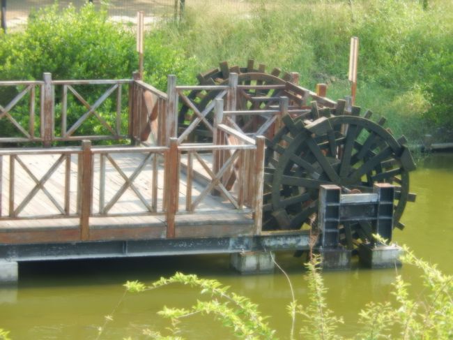 安平樹屋にありました、池に水車があります