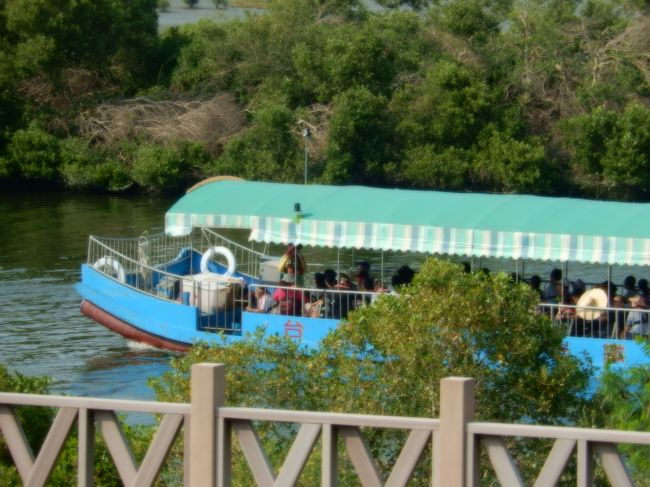 安平樹屋の展望台から塩水渓を航行する遊覧船を見ています