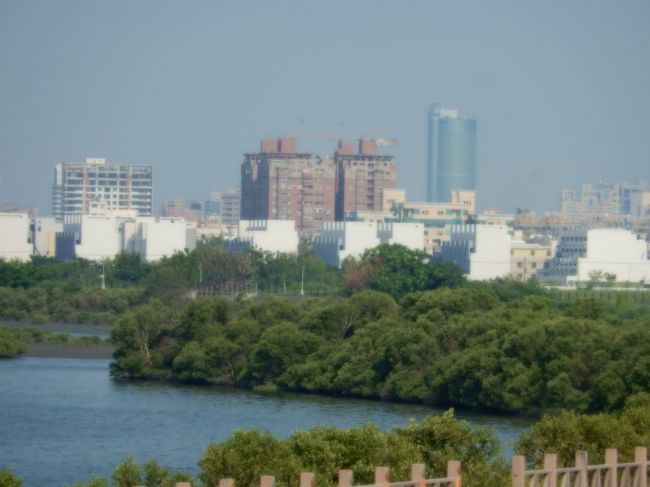 安平樹屋の展望台からの眺め、市街地のビル群が見えます