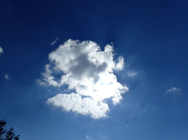 やはり日差しはまだまだ強いね<br /><br />日陰は風が吹くととても清々しい