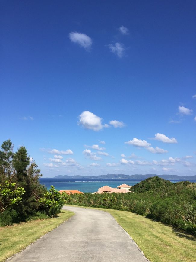 初日と最終日の２回、岬一周しました。<br /><br />結構坂があったりでちょっとした運動になりますよ。タオルは必須です。<br /><br />ホテルの屋根が見えてきました。