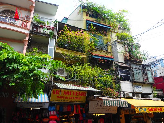 緑いっぱいの住宅。<br /><br />ハノイの住宅は緑いっぱい、カラフルな街並み。<br /><br />一階がお店で二階以上が住宅になっている感じでした。<br /><br />色々な建物がぎゅっと密集しているのに、なぜか絵になる。<br />不思議な街。