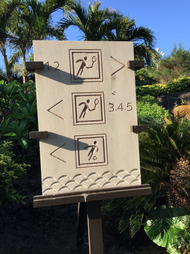 テニスコートは５面あったと思います。<br /><br />その隣はサッカー場です。