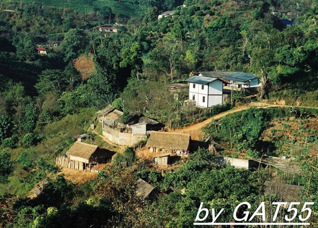 アカ族の家。外回りは質素だが、電気もひいてあり、<br />TVもあってビックリ！