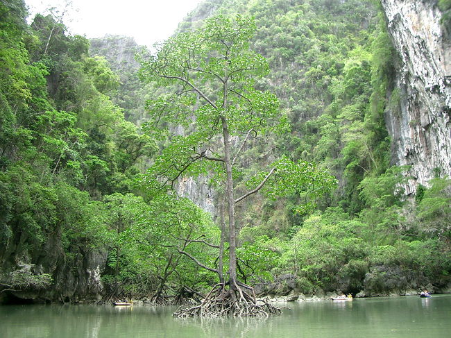 小さい穴を抜けるとここに出てきます。<br />とっても綺麗でした。