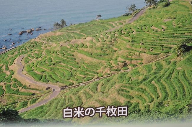 本当は、千枚田にいきたかったんだけど<br />時間がなくて断念。<br /><br />なので、案内図を撮影し、無理やり行った感をだしました。