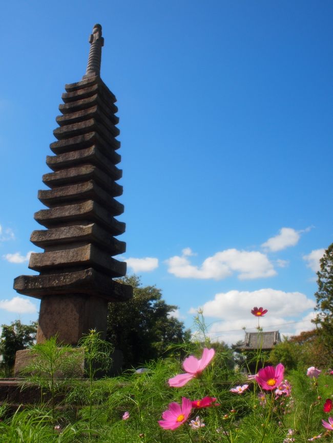 石宝塔、楼門、コスモス。<br /><br />青空と雲もいい感じ。