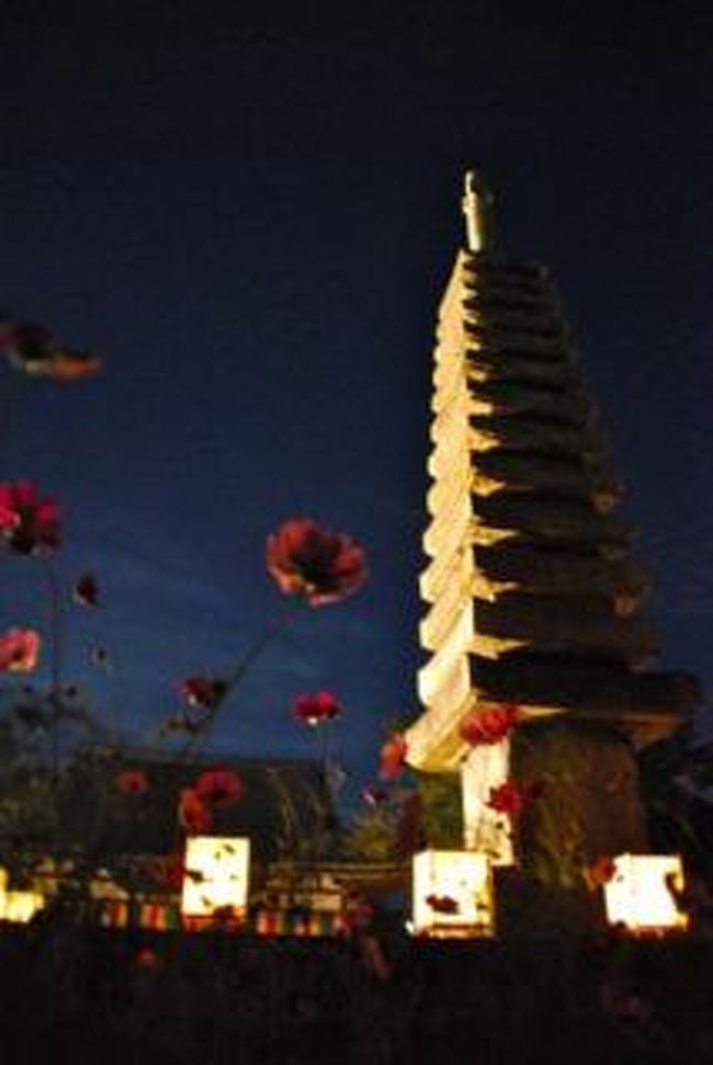 ちなみに３年前の花あかりの時の写真。<br /><br />コスモスとお寺のライトアップはかなりレアですが<br />夜はお堂の拝観が出来ず、御朱印も頂けません。<br />何度も行かないとダメ。