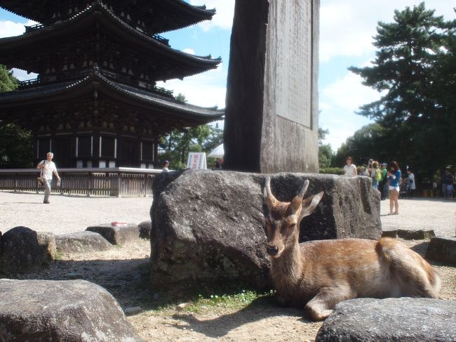 私も触れ合ってみる。（実際には触りません）