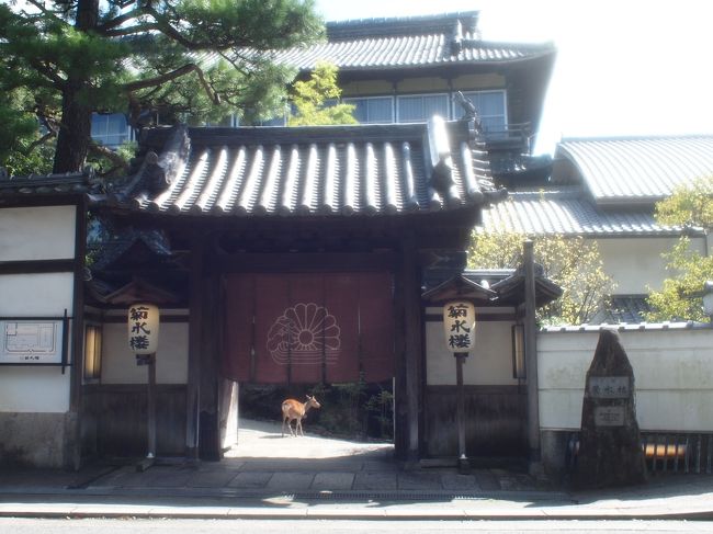 お店に普通に入っていくシカさんも。