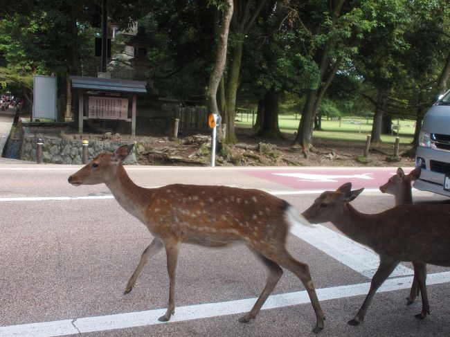 「ほれ、止めたで。今の内やで」