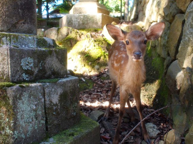 もっとちっちゃい子が居た。キュン死。