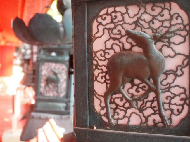 幸せをちょっと分けてもらった様な気分になります。