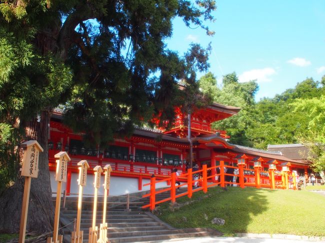 写真は撮れませんが２０年に一度の<br />仮殿での参拝も出来ます。