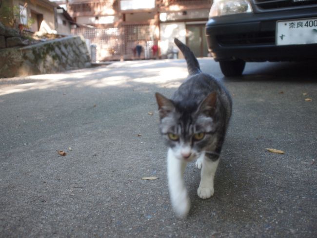 何も貰えなかったらすぐ戻って来た。