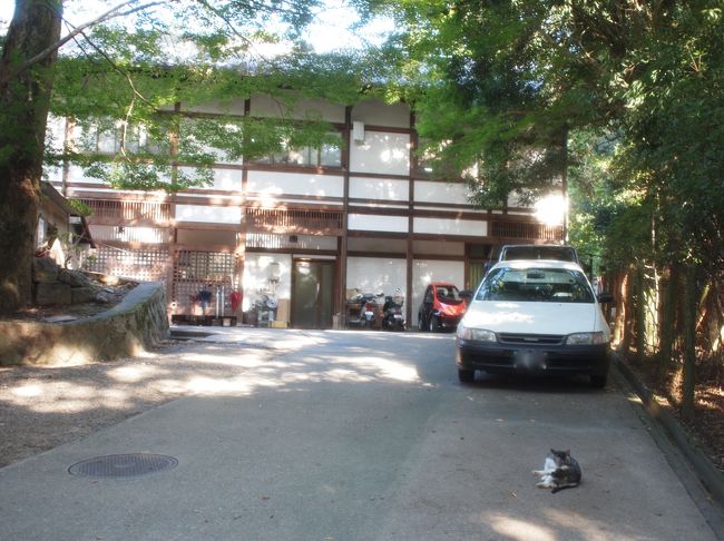 持っては帰れないけどね、<br />ミーちゃん、可愛いよ。バイバイ。