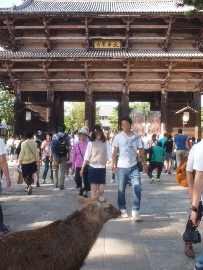いつも混んでる東大寺参道。シカさんも参拝。
