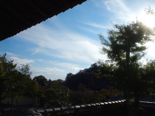 外に出られないし、50ミリの単体レンズなので<br />これが限界ですが、このお堂から興福寺方面を見ると<br />現代的な建物が全く見えない絶景スポットが現れます。<br />是非、肉眼で。