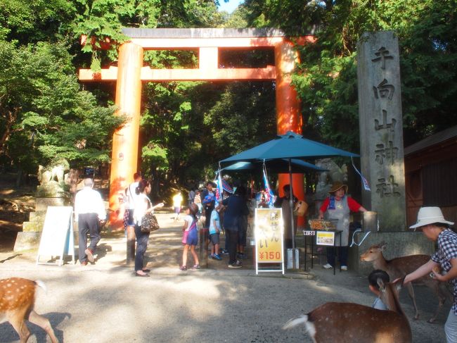 手向山神社（東大寺隣接）
