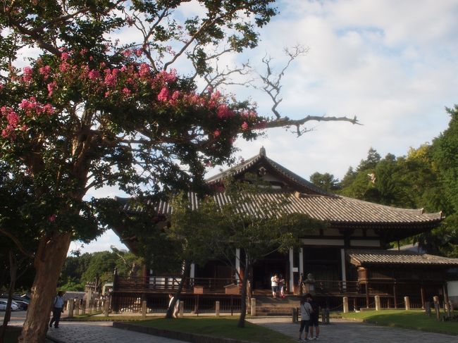 手向山神社からすぐ、三月堂。<br /><br />お堂の床の事なんて全く記憶に無かったのに<br />入ったとたん仏像より先に「床が綺麗になってる！」<br />が目に付いたの、人間の脳って不思議だな。