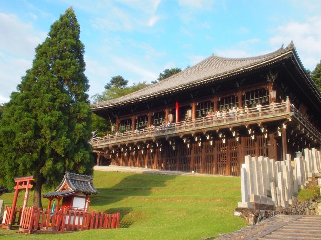 良弁杉と二月堂。