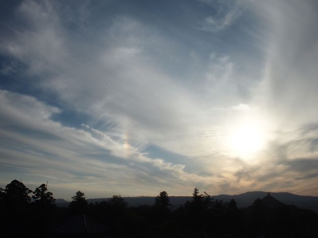 縦に短い虹が出ていました。彩雲かな。