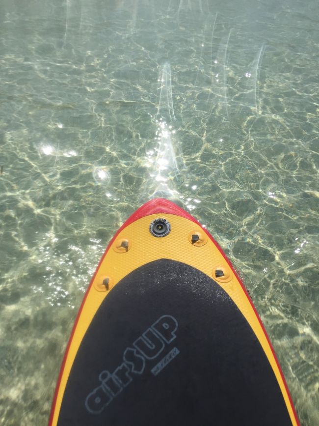 まず足首にボードと離れてしまわないように結びつけます<br /><br />そしてボードの真ん中辺りに膝をつけ、漕ぎ始めます。<br /><br />ここからが初心者は大変…<br /><br />立ちあがって更に漕ぎ始めるのにメッチャバランス崩れますｗ<br /><br />その時、膝気を付けてね。落ちてもライフジャケットしてるから安心ｗ<br /><br />でも何回かチャレンジすれば…↓↓