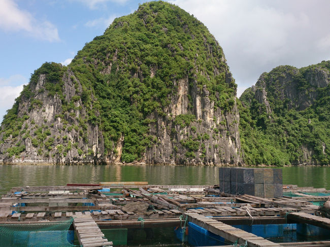 魚市場に立ち寄る。<br />水上で生活している人もいて、その人たちが売っているらしい。<br /><br />