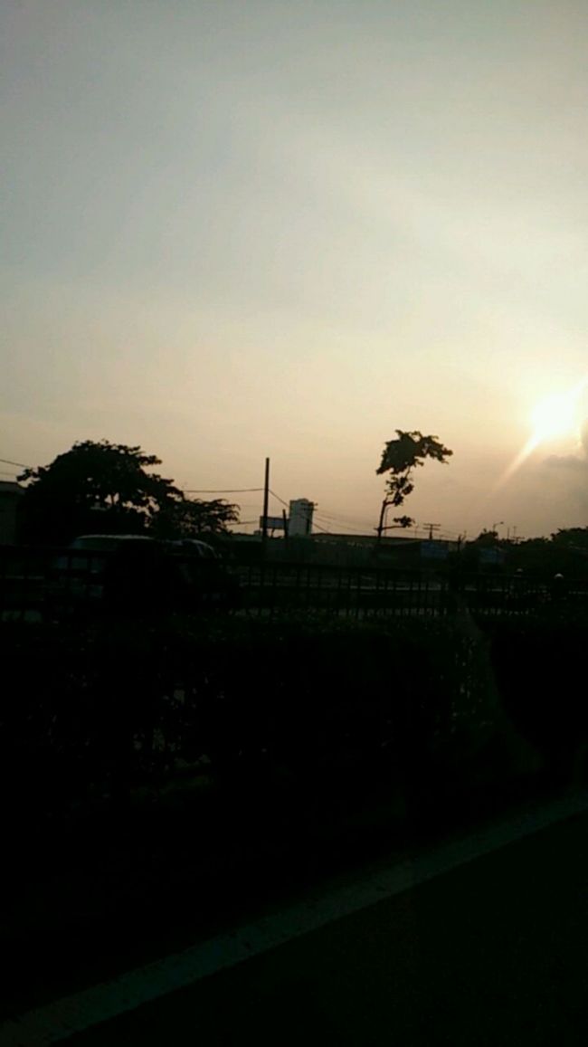 夕焼けに包まれたハノイに到着した。<br /><br />バイクの数がもっとすごい！<br />溢れるバイクに圧倒された。<br />自然な流れがたしかにあって、うまくみんなすり抜けて行く。本当に圧巻だなぁ。