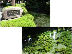 続いては名水百選の白川水源へ
マイナスイオンたっぷりの癒しの地
その湧水を自由に汲めて嬉し〜♪