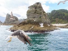 遊覧船は、浄土ヶ浜から姉ヶ崎までをぐるーっと周ってきます