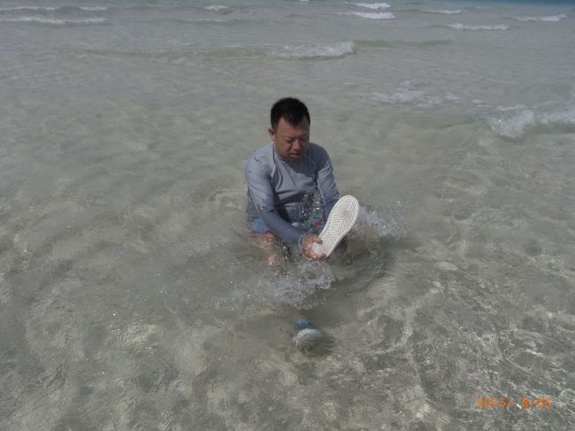 靴に入った砂を洗う、アライグマよしくん(*^-^*)