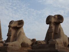 １０分ほどミニバスに乗ってると、神殿が見えてきた。
周りの人たちに、ココだよって言われて降りる。

繁栄した古代首都テーベに建てられたカルナック神殿。

スフィンクス参道を抜けすすんでいくと、