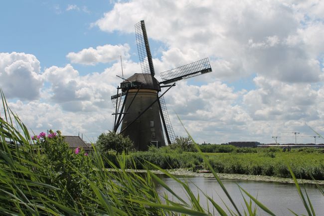 オランダ・キンデルダイク地方の風車風景
