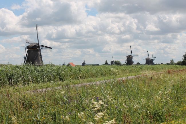 オランダ・キンデルダイク地方の風車風景