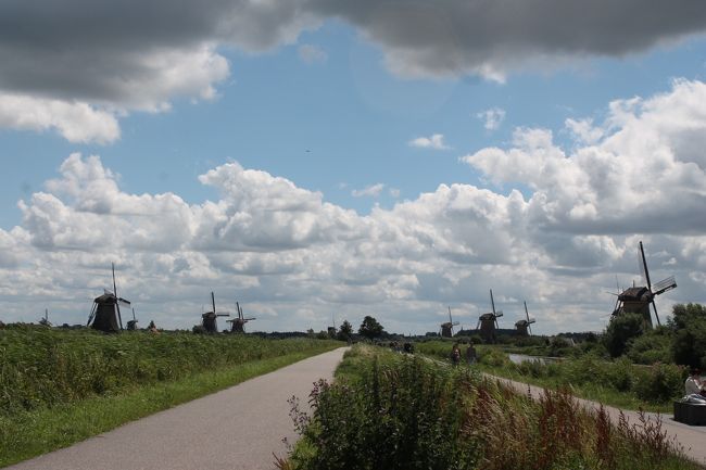 オランダ・キンデルダイク地方の風車風景