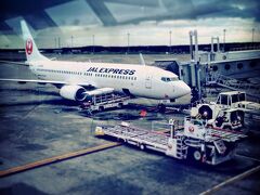 日本航空を利用するのは、多分高校か短大のアメリカ語学留学以来かもしれない、と思いながらJRで空港へ。
ここ数年、ずっとLCCしか使ってないボンビーガールの為、座席指定できる事とか足元が少し広い事とかに、うきうきわくわく＾＾

空港到着後、空はドヨ〜〜〜ン…。テ…テンション下がりそう＾＾；
といいつつ、飛行機を見てテンションがグッとMAX！！！

実は私、旅行会社に勤務しており、今回たまたま福岡行きのチケットが安く手に入ったので即購入。最高のシルバーウィークの始まり〜🎵