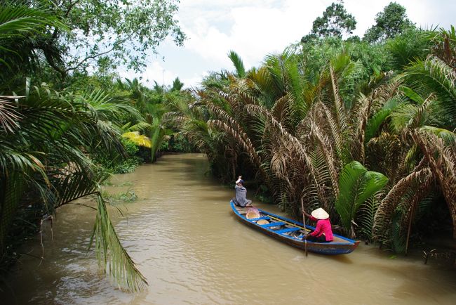 ジャングルの中をクルーズします。