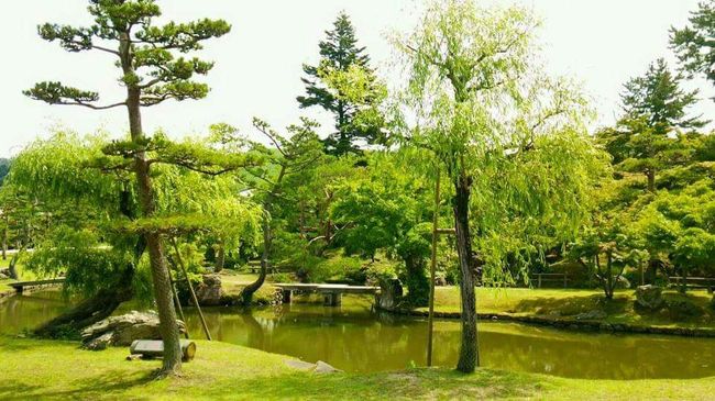 こういう景色って、子供のときは<br />気にもしなかったのに<br />大人になって見ればため息が<br />出るくらい癒されます。