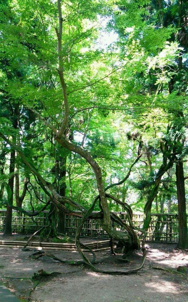 公園から東へどんどん進んでいきます。