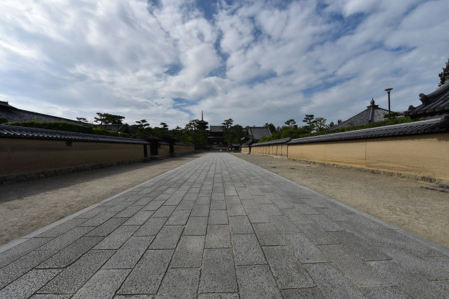 ごらんのように人がおりません〜