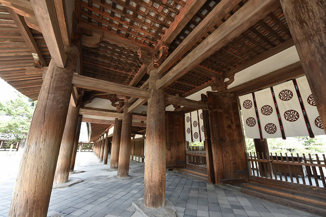 人がいないからいいね